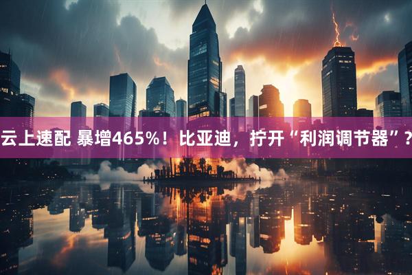 云上速配 暴增465%！比亚迪，拧开“利润调节器”？