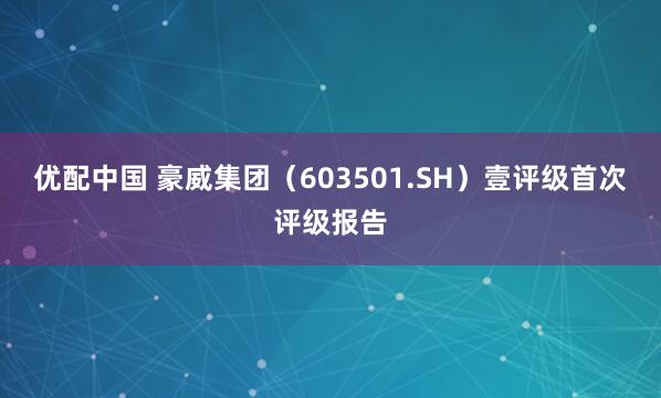 优配中国 豪威集团（603501.SH）壹评级首次评级报告